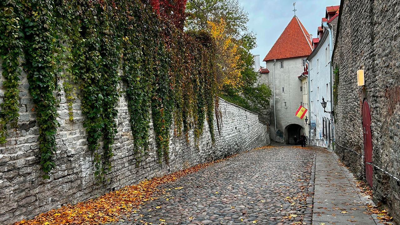 Paseo a pie por el Casco Antiguo de Tallin en español